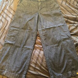 American Eagle Convertible Trousers